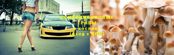 молекула духа Иннополис