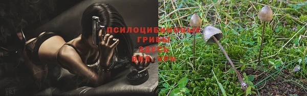 альфа пвп Инта