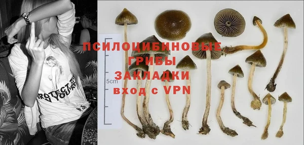 COCAINE Инсар