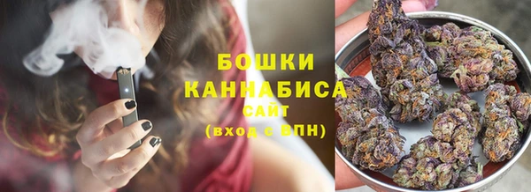 молекула духа Иннополис
